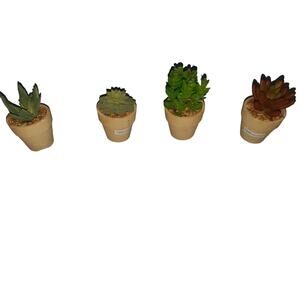 Mainstays Decorative Miniature House Plants Set Of Four